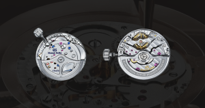 Jewels Functions In watches